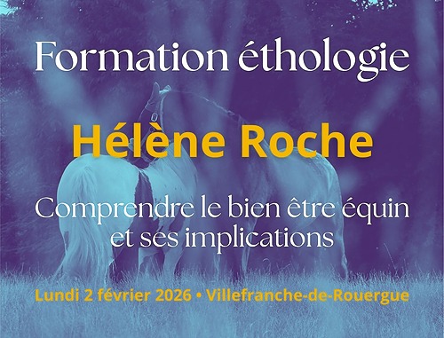 Ethologie équine : Comprendre le bien être équin et ses implications – L&rsquo;équicentre
