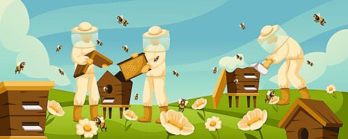 Initiation à l’apiculture : De la découverte à la gestion d’un rucher_ ADPSA12