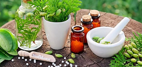 Perfectionnement à l&rsquo;homéopathie en élevage_CA12_2024
