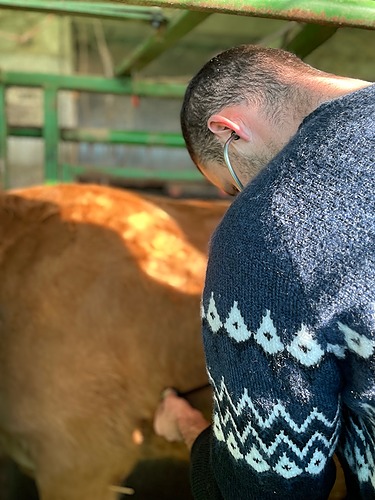 TH3 L&rsquo;éleveur infirmier proactif sur la santé de ses animaux – groupe Bovin – FODSA 2025