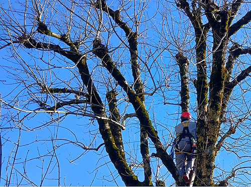 Travailler en hauteur et en sécurité _ ADPSA12