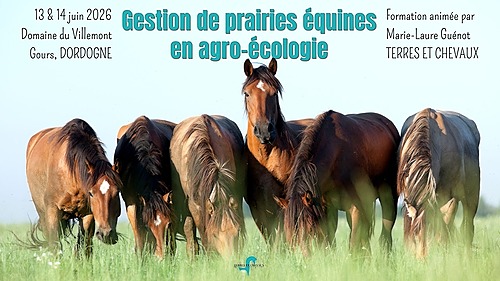 Gérer ses prairies équines en agro-écologie – Dordogne – Terres et Chevaux