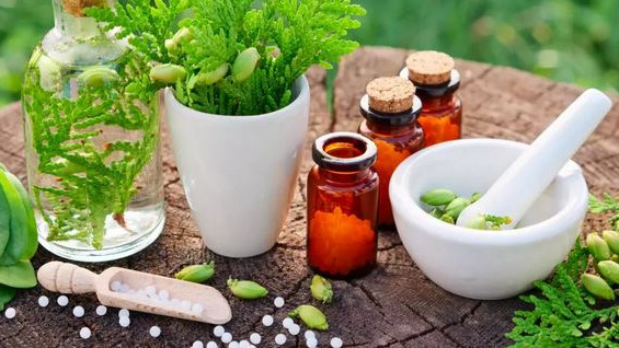 Perfectionnement à l&rsquo;homéopathie en élevage_23_24