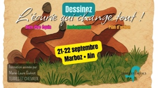 Dessinez l&rsquo;écurie qui change tout : Bien-être, aménagement et plan d&rsquo;action – Terres et Chevaux – MARBOZ (AIN)